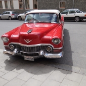 Alfa Bil & Båt Sadelmakeri - Cabriolet - Cab - Cadillac - 1954