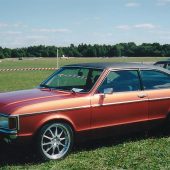 Alfa Bilklädsel - Vinyltak